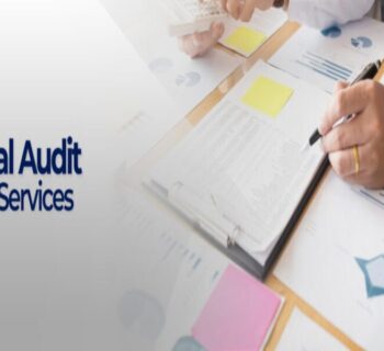 internal check system in auditing