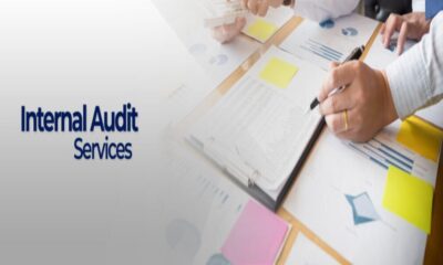 internal check system in auditing