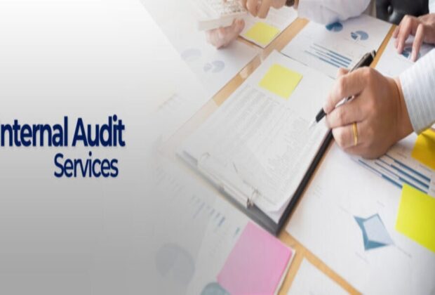 internal check system in auditing